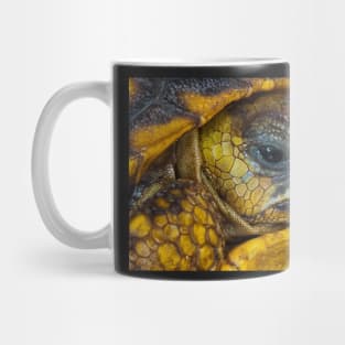 Tortoise Mug